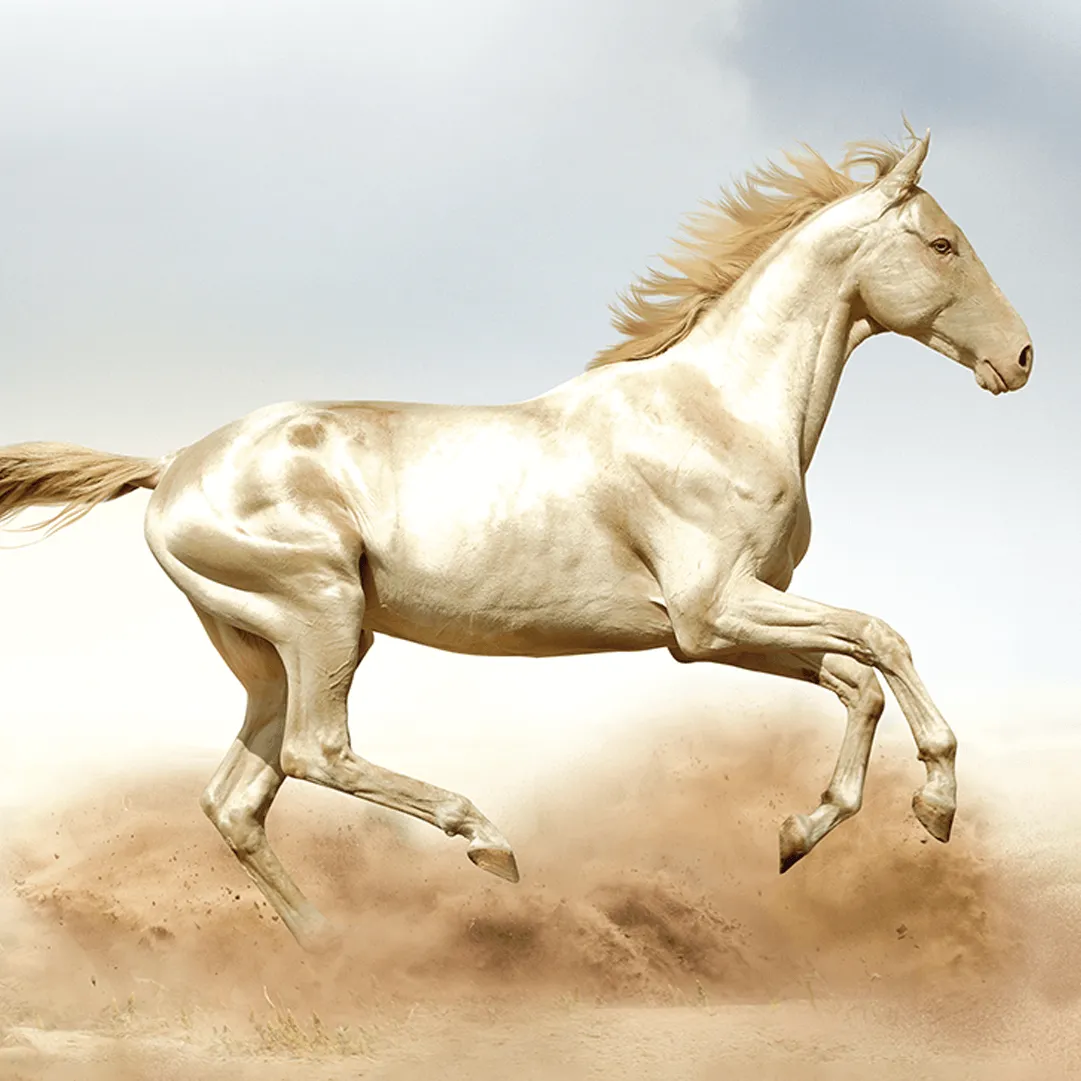 Image of a golden horse running