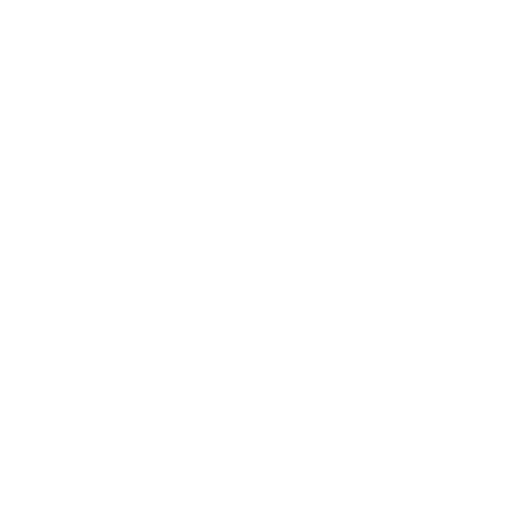Mini Cooper Logo