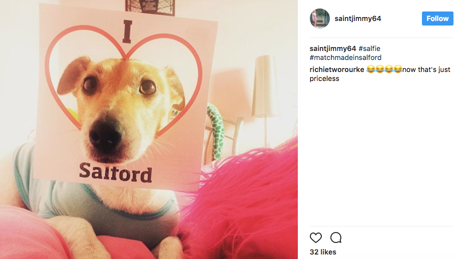 Dog poses for a #Salfie for University of Salford on Instagram