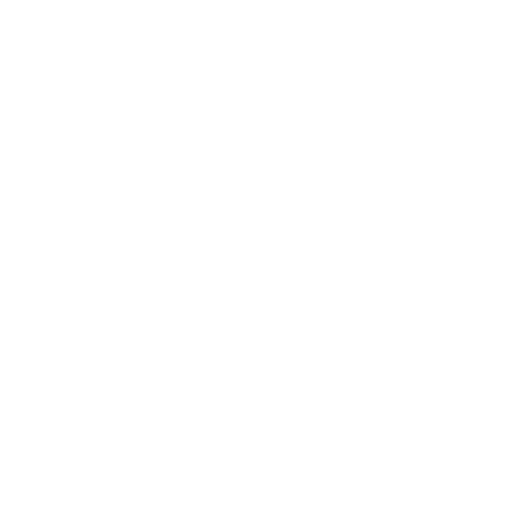 Minds Connected logo